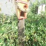 Sonnenschein Schmallenberg