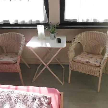 宋恩谢因酒店 施马伦贝格