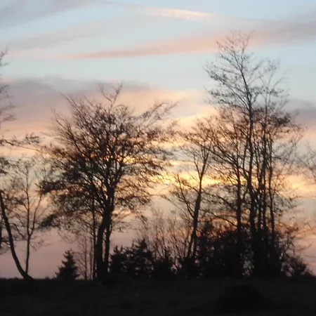 招待所 宋恩谢因酒店 3*