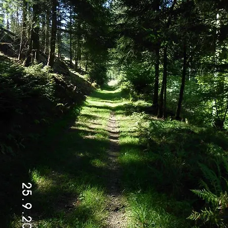 Gasthof Sonnenschein 3*