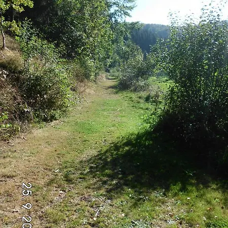 招待所 宋恩谢因酒店