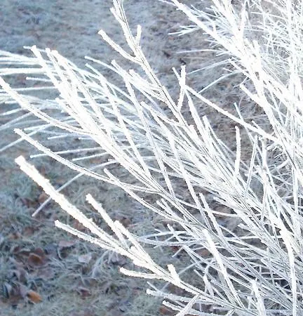 Sonnenschein Schmallenberg