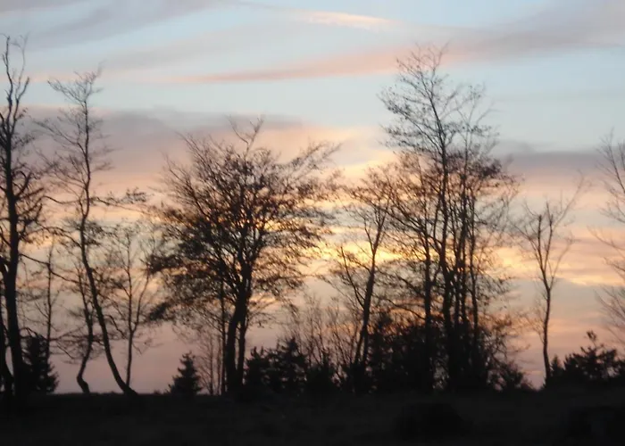 Maison d'hôtes Sonnenschein 3*