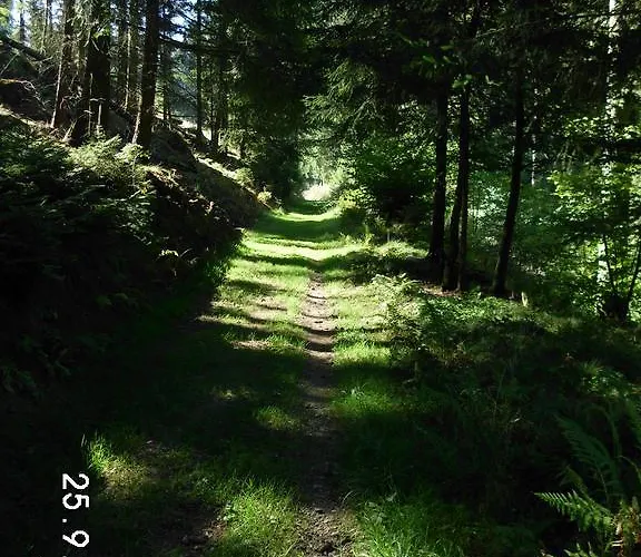 Maison d'hôtes Sonnenschein 3*