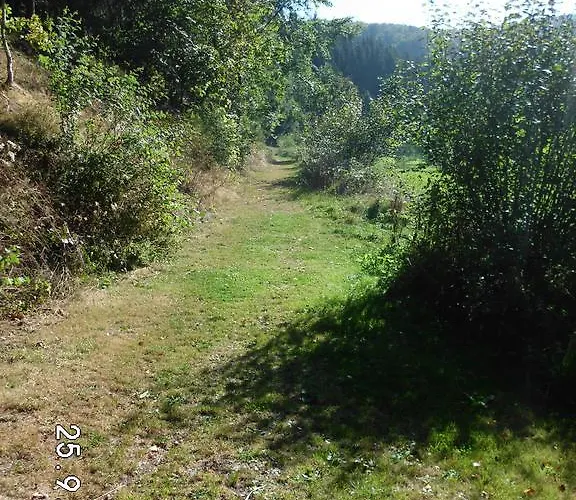 Maison d'hôtes Sonnenschein