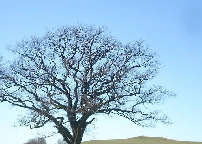 Sonnenschein Maison d'hôtes 3*
