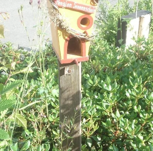 Sonnenschein Schmallenberg